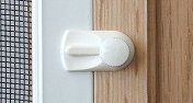 Removable screen/storm assembly