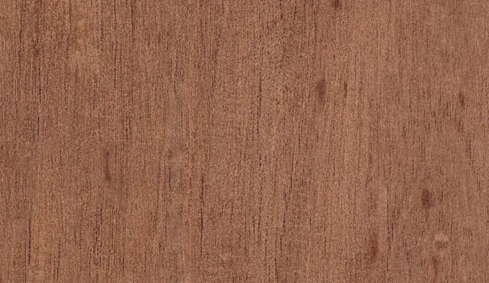 Spanish Cedar